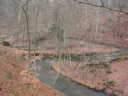 Denderup Vnge, 2006