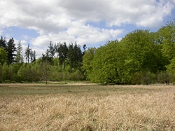 Smuldmosen, 2012