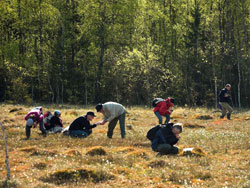 Skne, 2007