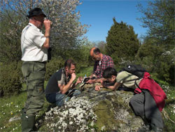 Skne, 2007
