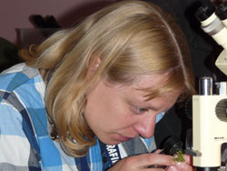 Hanne Henriksen