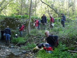 Langebk Skov, 2008