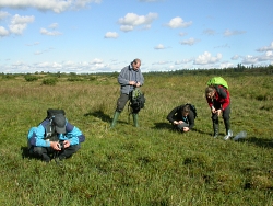 Stubbergrd S, 2012