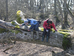 Tofte Skov, 2007